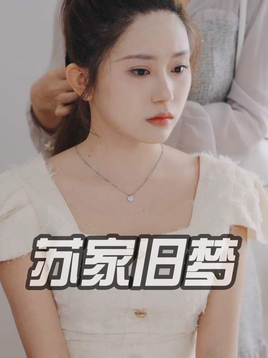 苏家旧梦封面