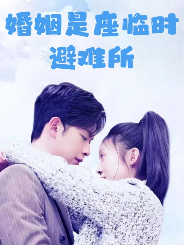 婚姻是座临时避难所封面