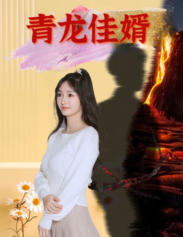 青龙佳婿封面