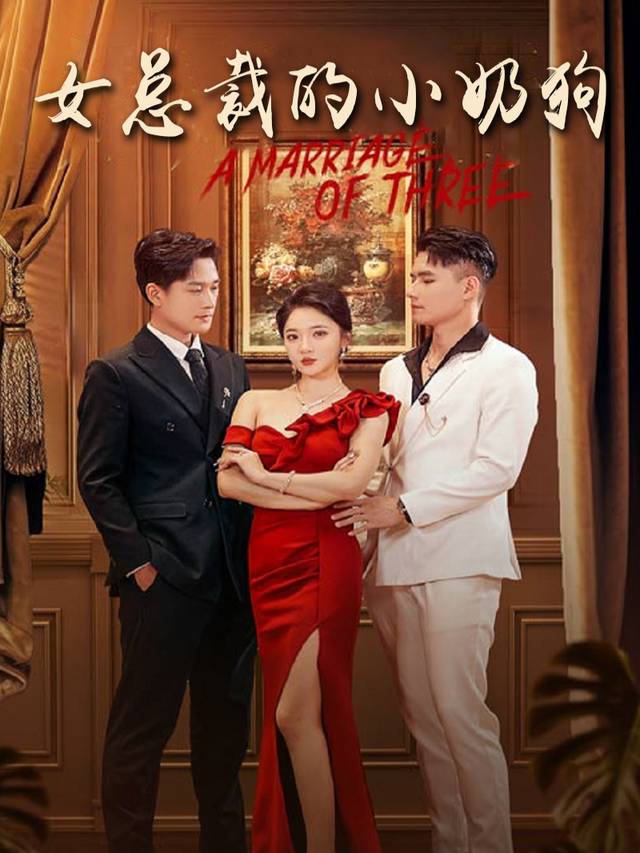 女总裁的小奶狗封面