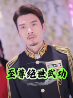 至尊绝世武功封面
