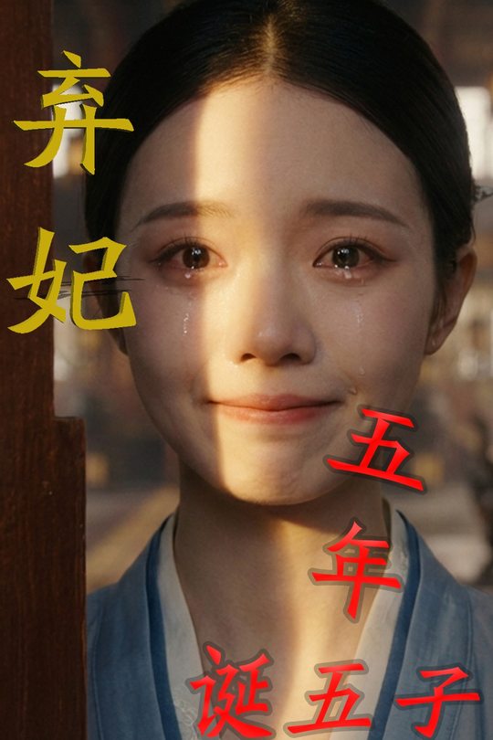 侧妃五年诞五子封面