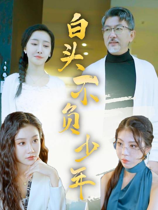 白头不负少年封面