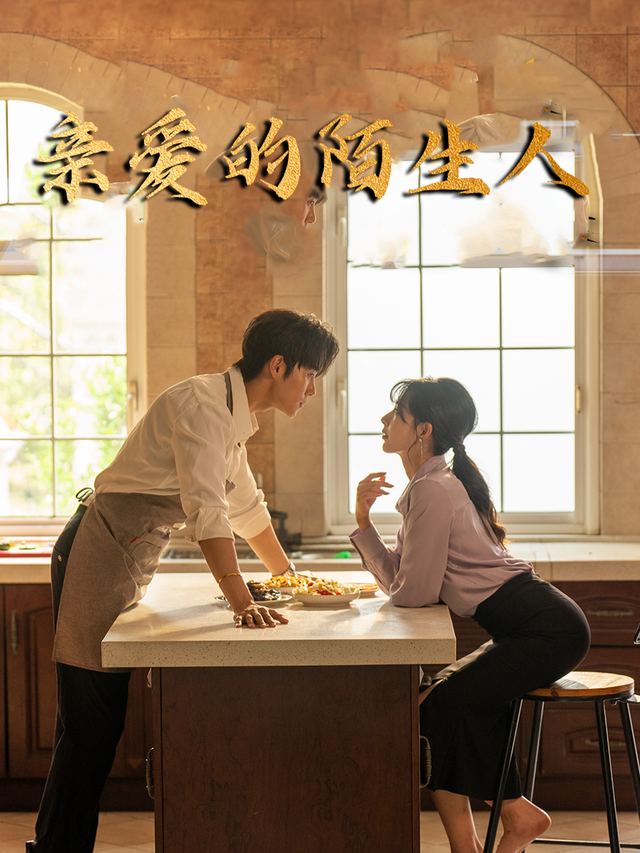 亲爱的陌生人封面