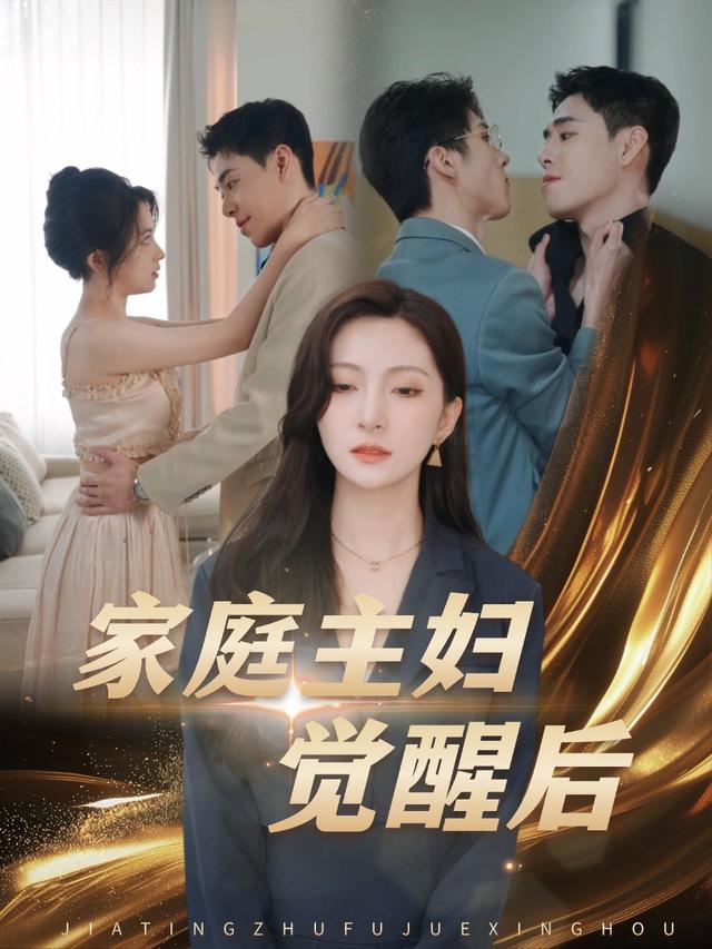 家庭主妇觉醒后封面