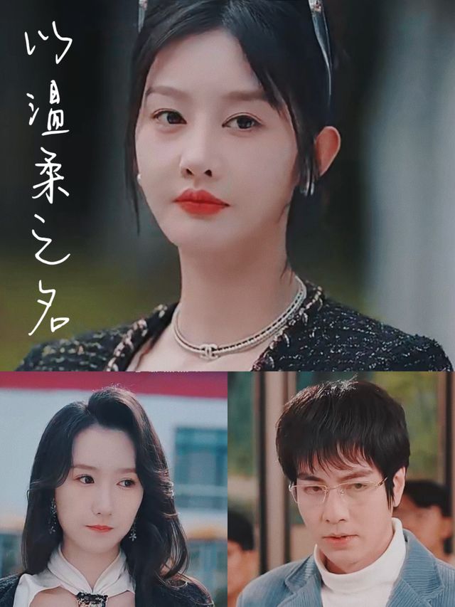 以温柔之名封面