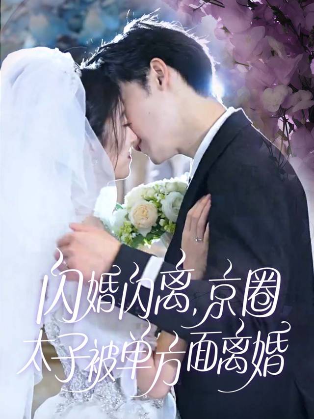 闪婚闪离,京圈太子被单方面离婚封面