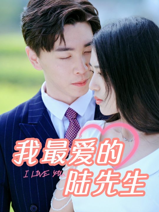 我最爱的陆先生封面