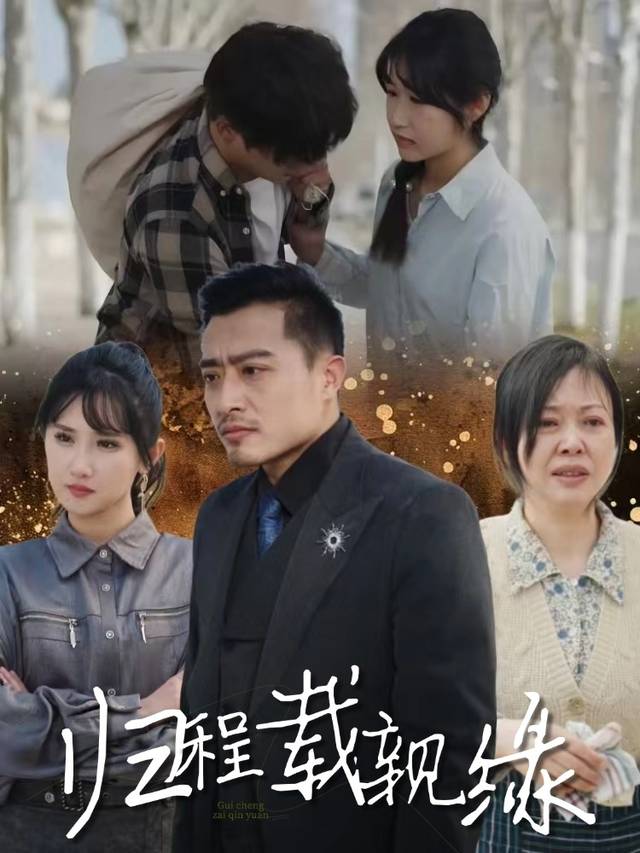 归程载亲缘封面