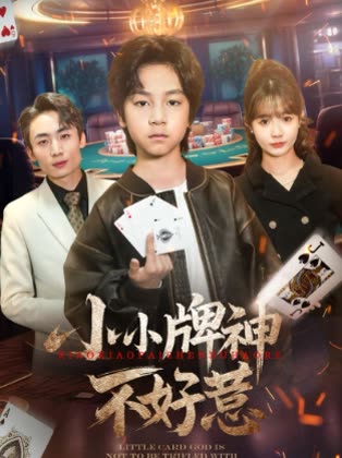 小小牌神不好惹封面