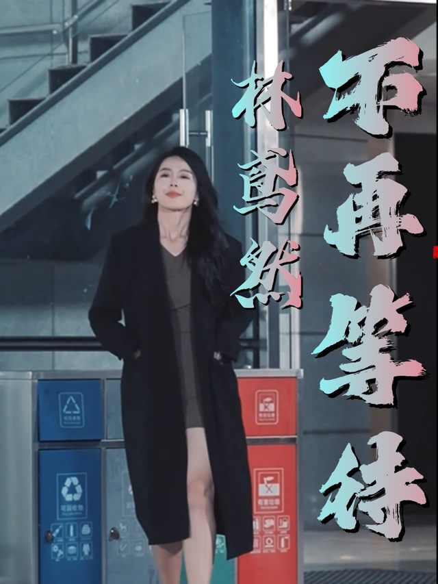 林鸢然不再等待封面