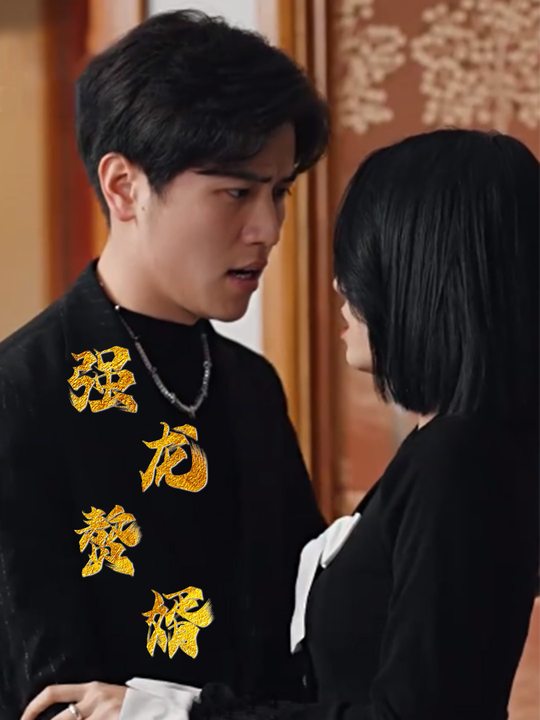 强龙赘婿封面