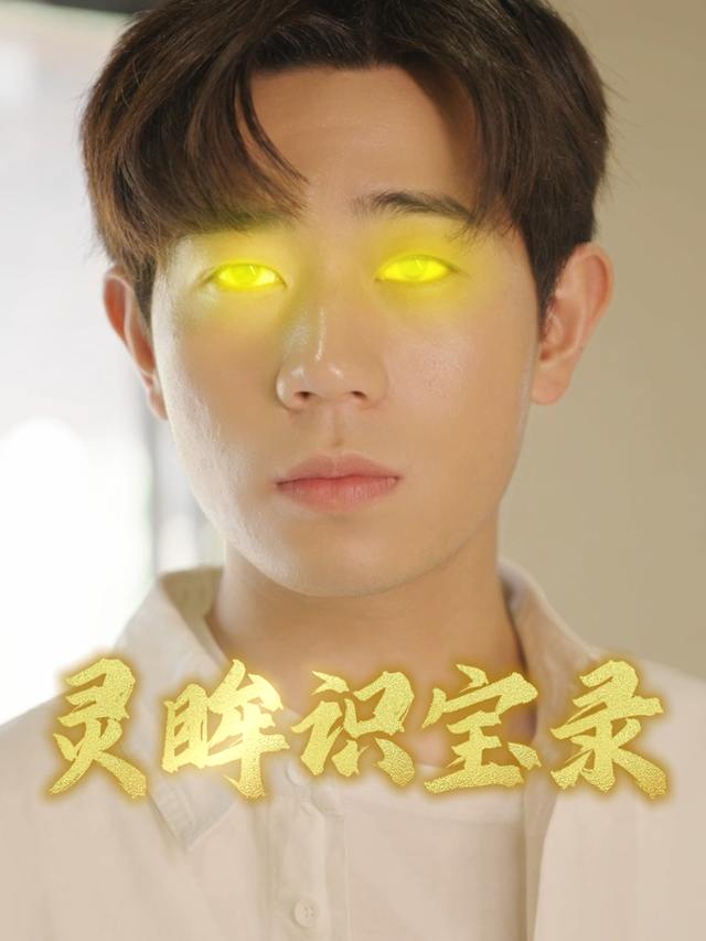 灵眸识宝录封面