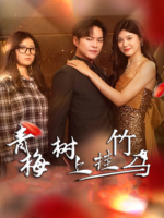 青梅树上挂竹马封面