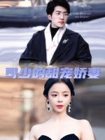 司少的甜宠娇妻封面