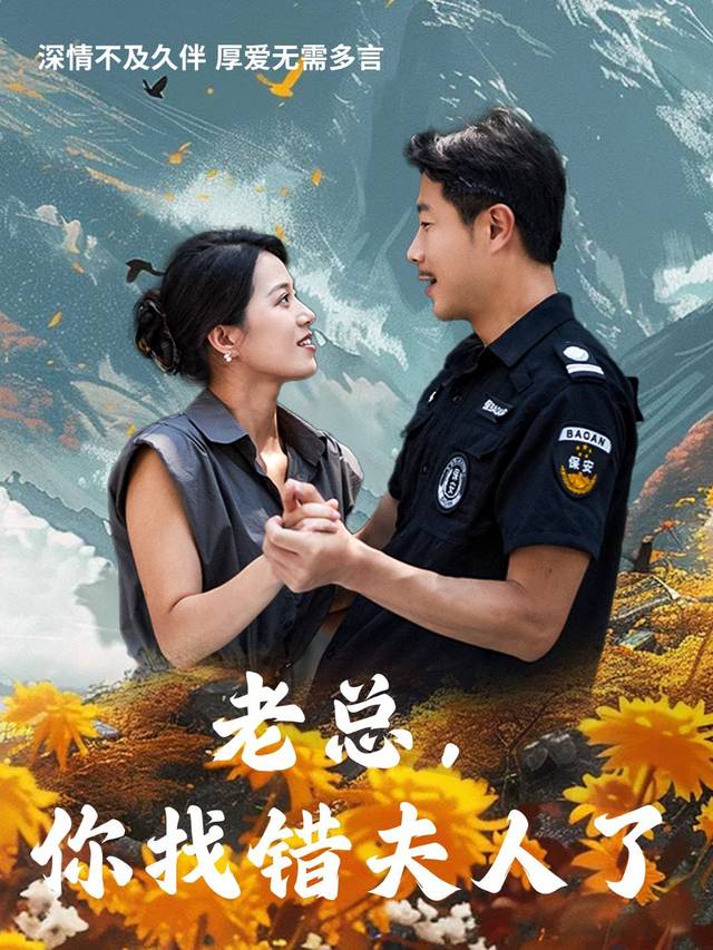老总,你找错夫人了封面