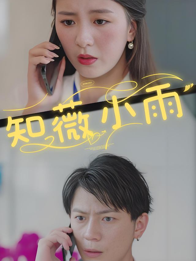 知薇小雨封面