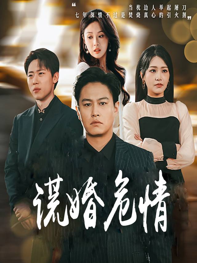 谎婚危情封面