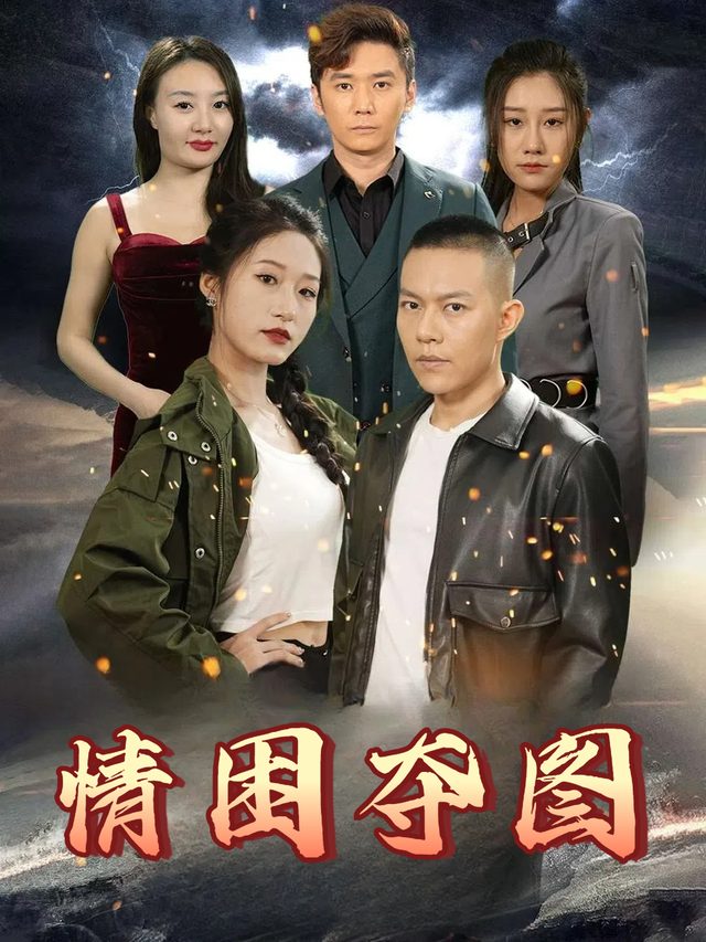 情困夺图封面