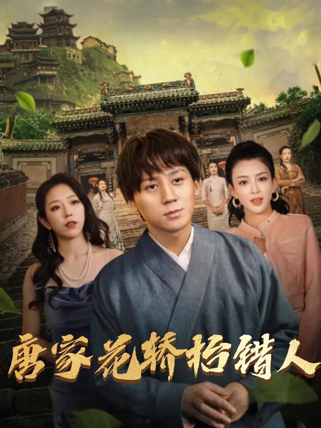 唐家花轿抬错人封面