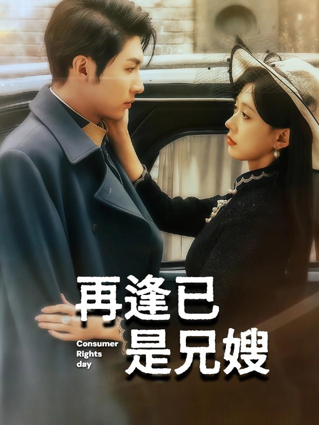 再逢已是兄嫂封面