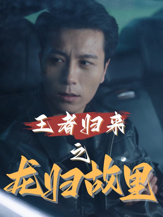 王者归来之龙归故里封面