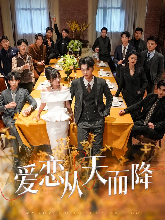 爱恋从天而降封面