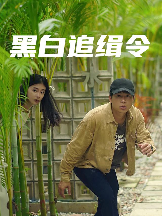 黑白追缉令封面