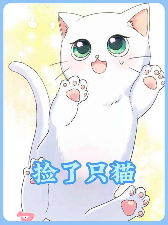 捡了只猫封面
