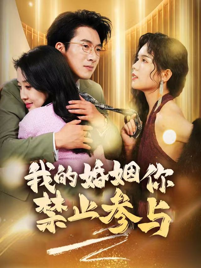 我的婚姻你禁止参与封面