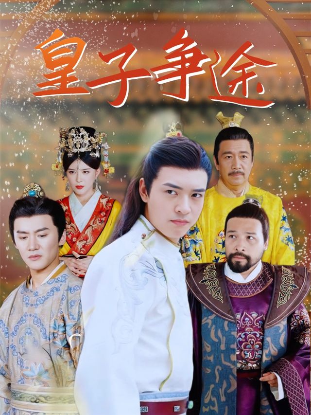 皇子争途封面