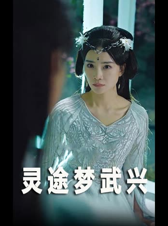 灵途梦武兴封面