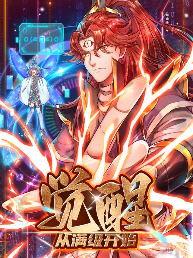 觉醒从满级开始封面