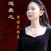 逆袭之赘婿不好惹封面