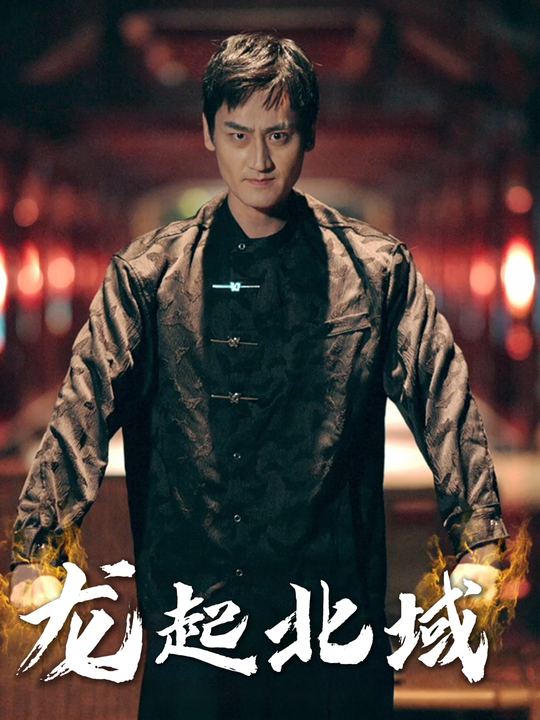 龙起北域封面