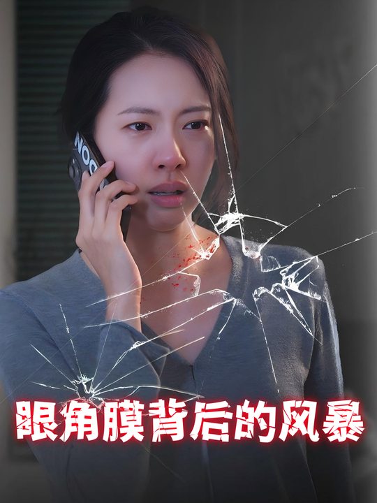 眼角膜背后的风暴封面