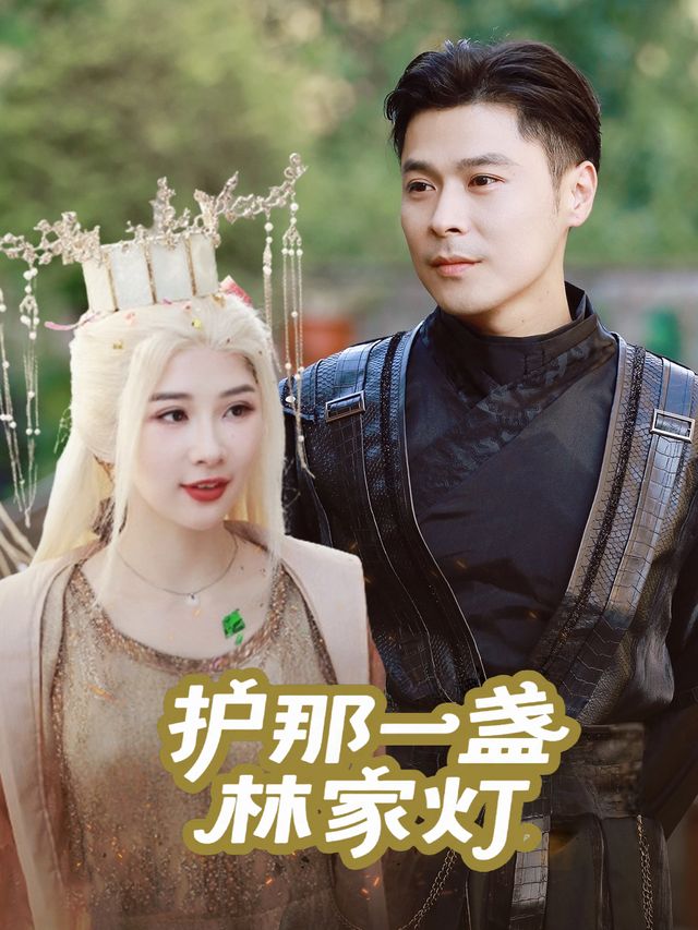 护那一盏林家灯封面