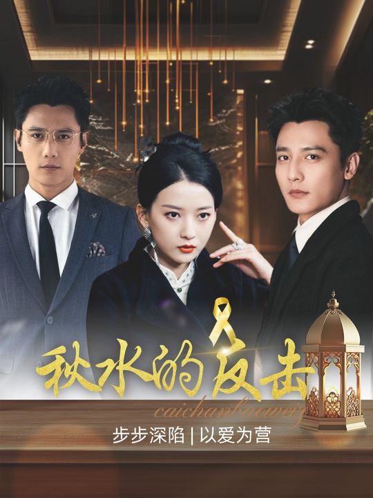 秋水的反击封面