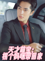 天才萌宝:拐个妈咪带回家封面