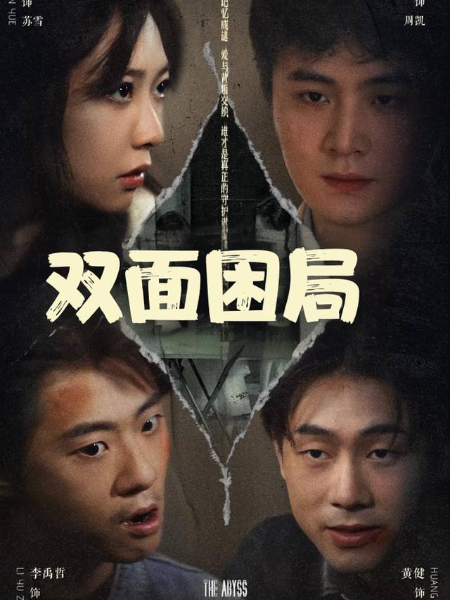双面困局封面