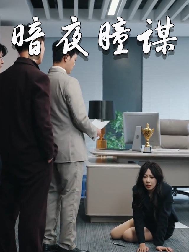 暗夜瞳谋封面