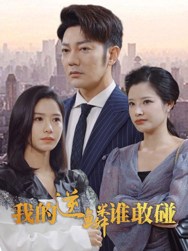 我的逆鳞谁敢碰封面