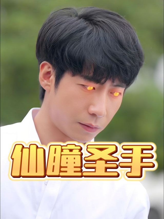 仙瞳圣手封面