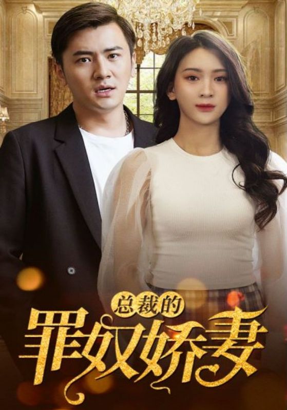 总裁的罪奴娇妻封面