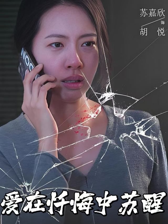 爱在忏悔中苏醒封面