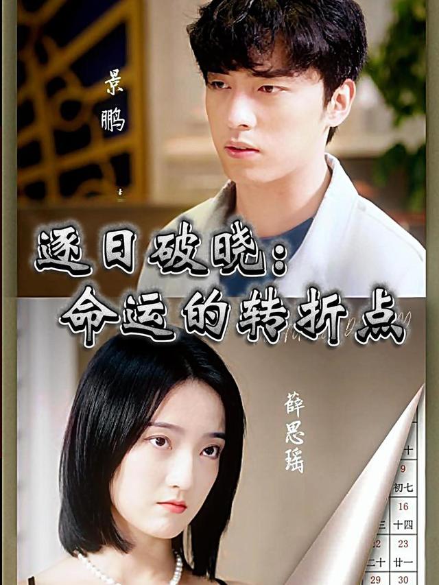 逐日破晓:命运的转折点封面