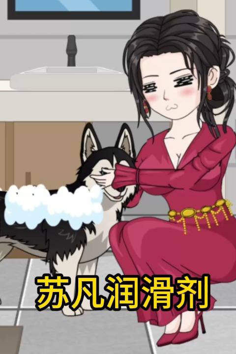 苏凡润滑剂封面