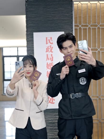 双面夫妇封面