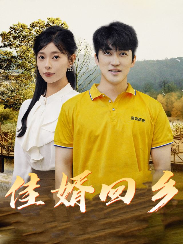 佳婿回乡封面