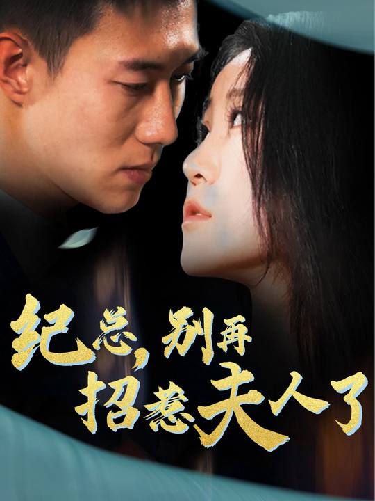 纪总,别再招惹夫人了封面